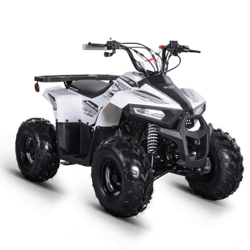 Skyjet Braves 110 ATV