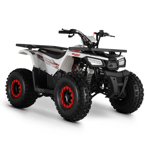 Skyjet M135 125 cc ATV
