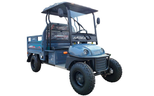 Arora Polo Farm